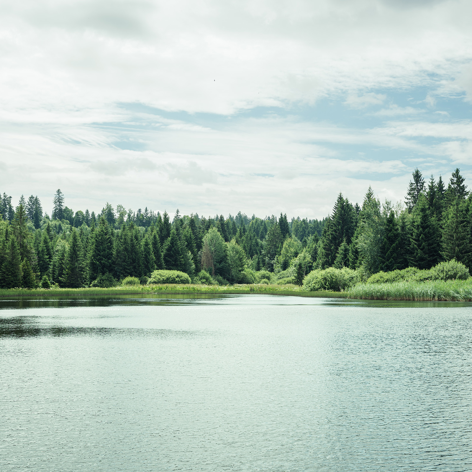 Wir beraten Sie
persönlich